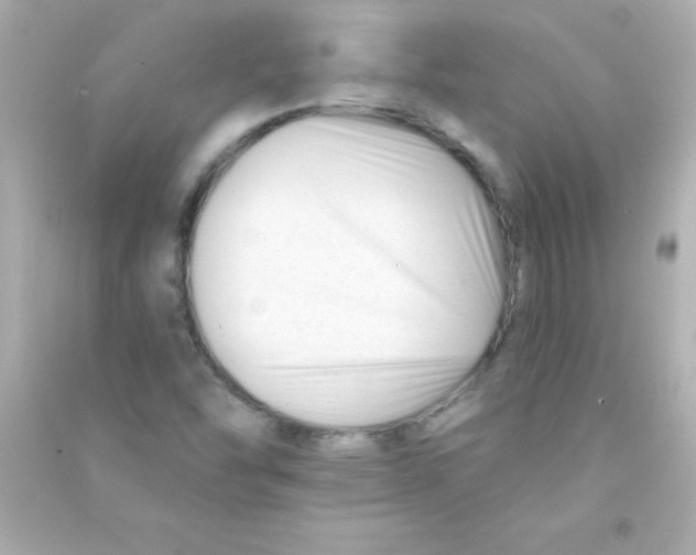 X0000090481454200708102145