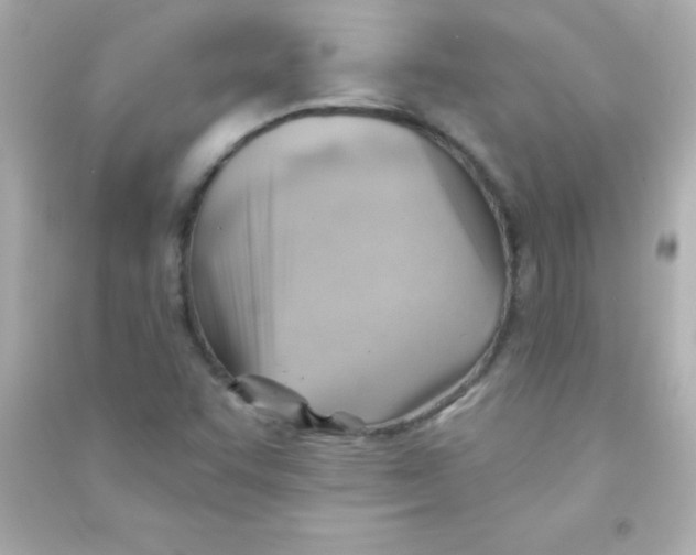 X0000090481455200708102145