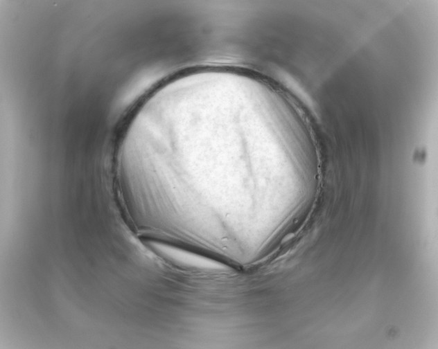 X0000090481456200708102145