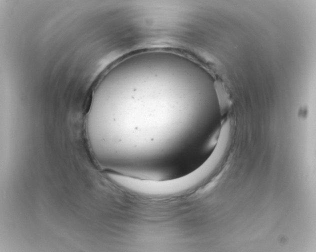 X0000090481457200708102145