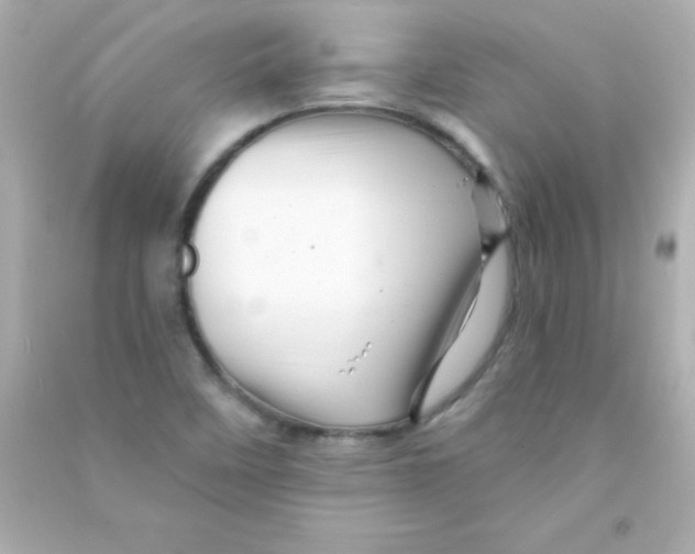 X0000090481458200708102145