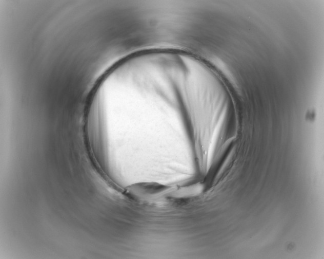 X0000090481460200708102145