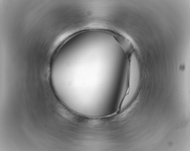 X0000090481461200708102145