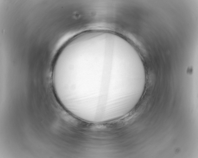 X0000090481462200708102145