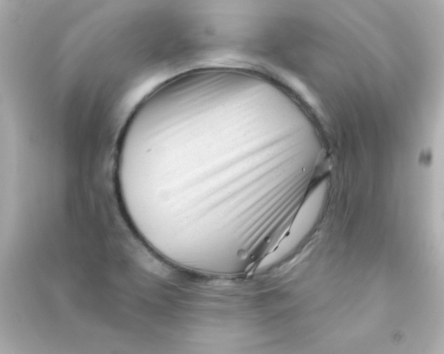 X0000090481463200708102145