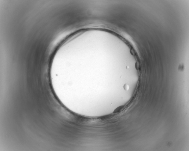 X0000090481464200708102145