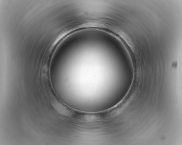 X0000090481465200708102145