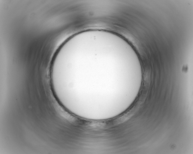 X0000090481466200708102145