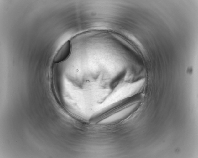 X0000090481467200708102145