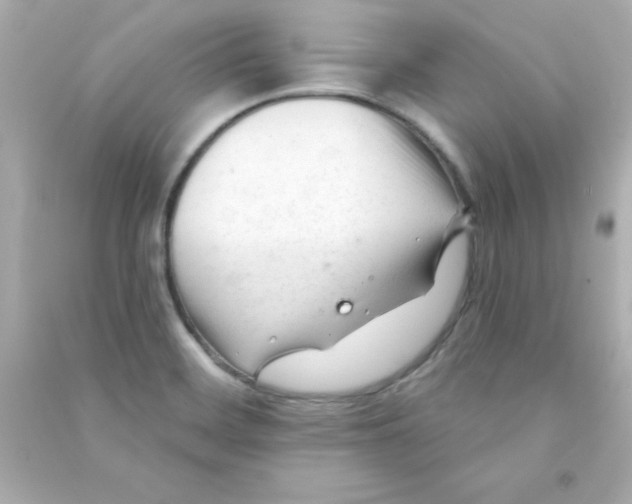 X0000090481468200708102145