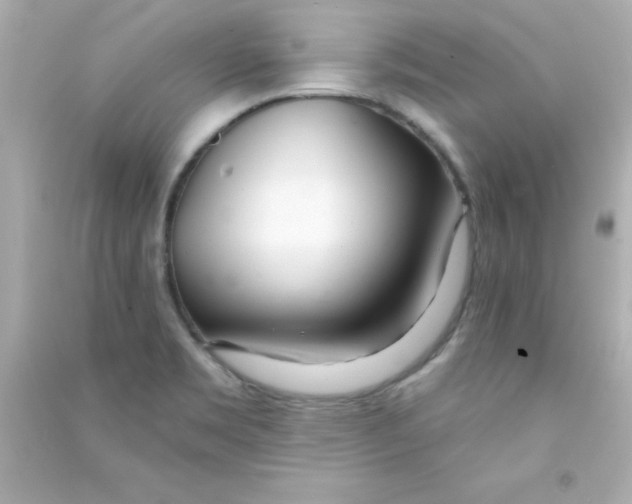 X0000090481469200708102145