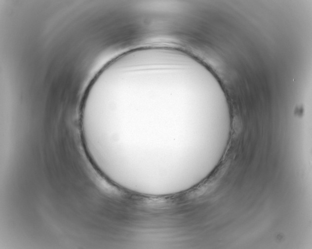 X0000090481470200708102145