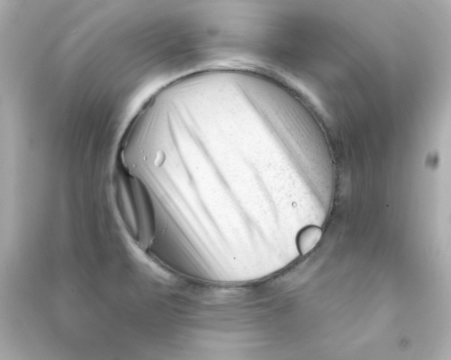 X0000090481471200708102145