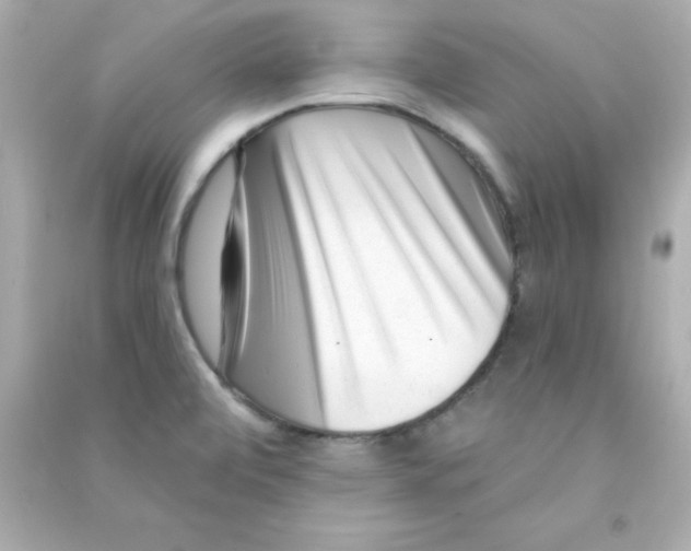 X0000090481472200708102145