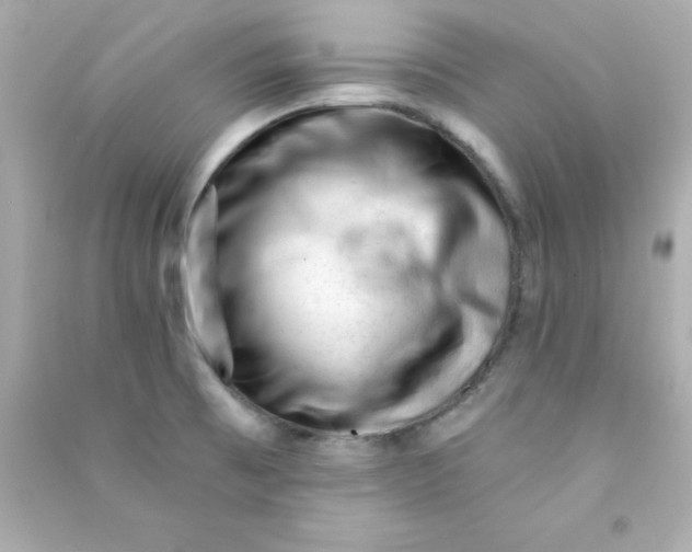 X0000090481473200708102145