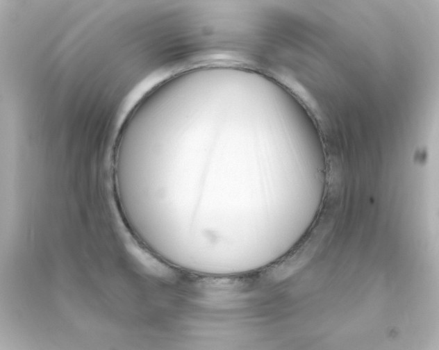 X0000090481474200708102145