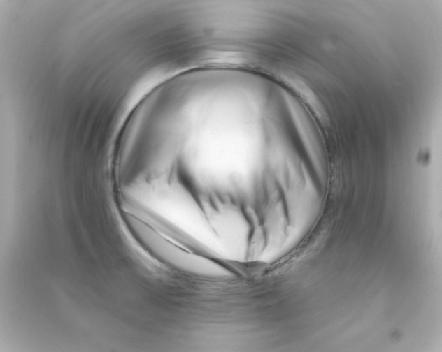 X0000090481475200708102145