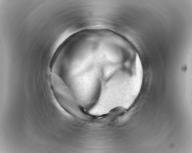 X0000090481476200708102145