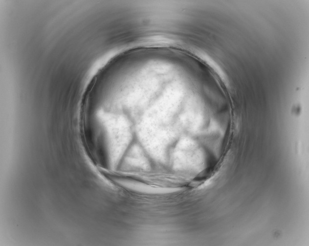 X0000090481477200708102145