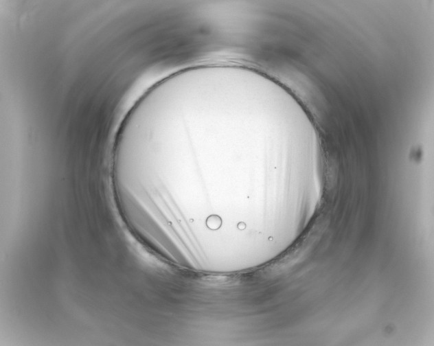 X0000090481478200708102145