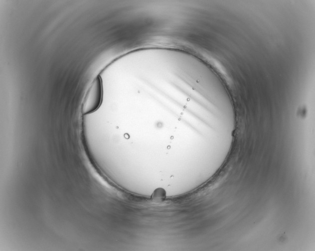 X0000090481479200708102145