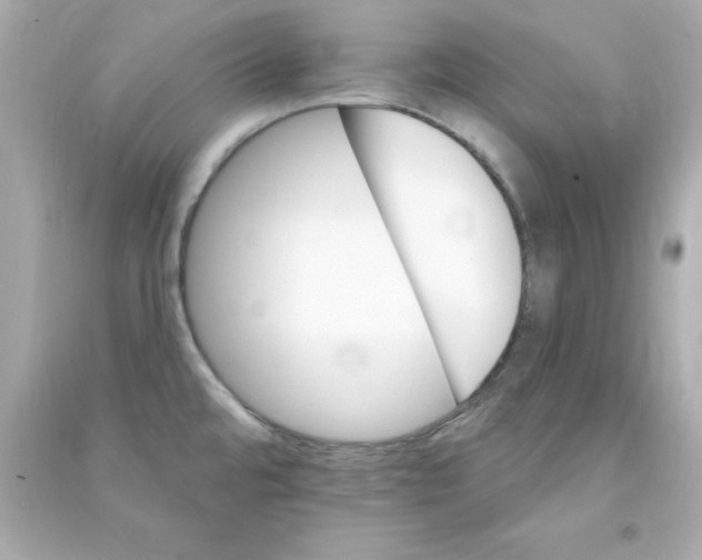 X0000090481480200708102145