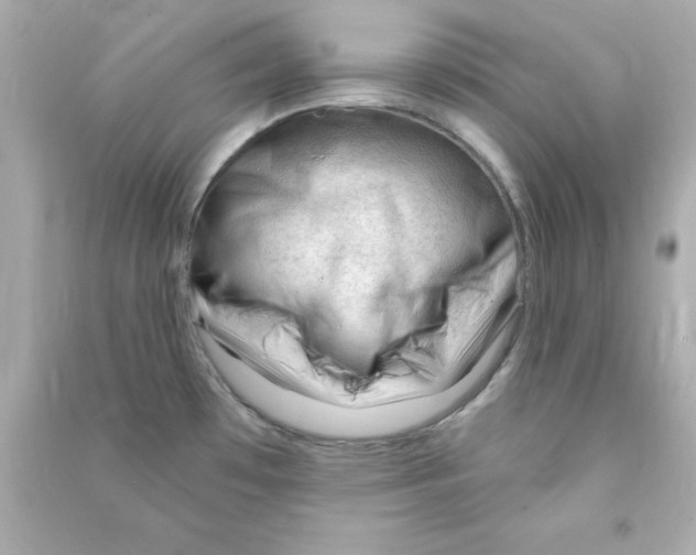 X0000090481481200708102145