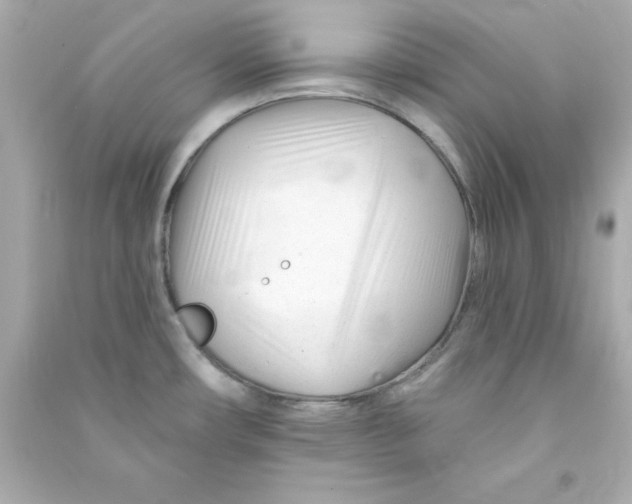 X0000090481482200708102145