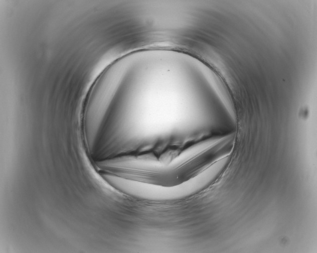 X0000090481483200708102145