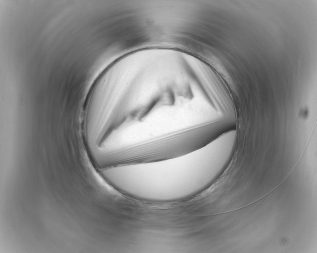 X0000090481484200708102145