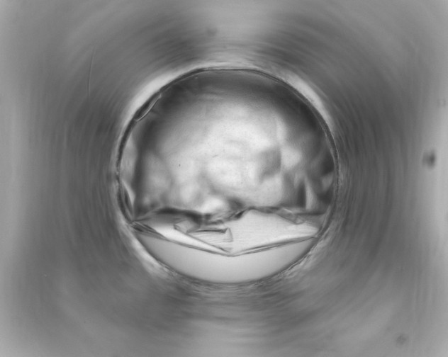 X0000090481485200708102145