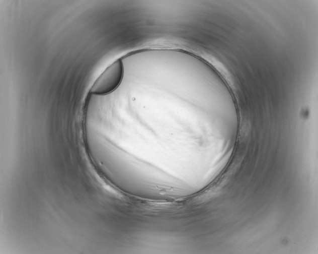 X0000090481486200708102145