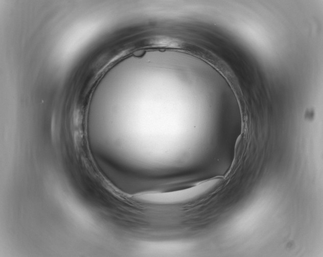 X0000090481487200708102145
