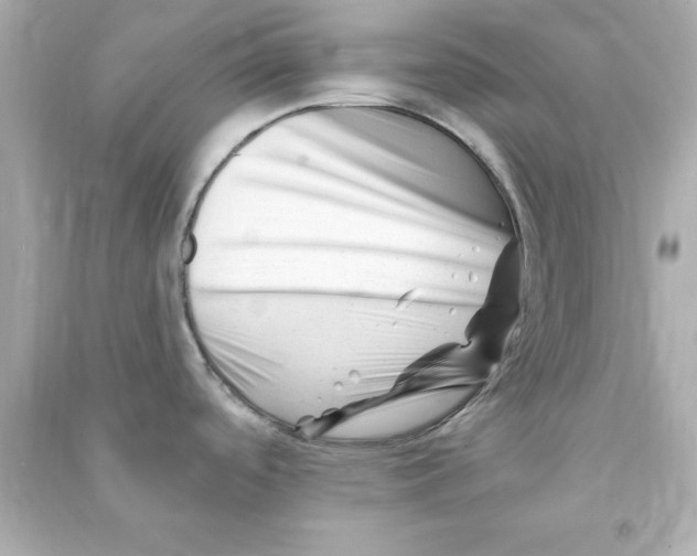 X0000090481488200708102145