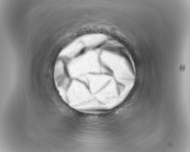 X0000090481489200708102144