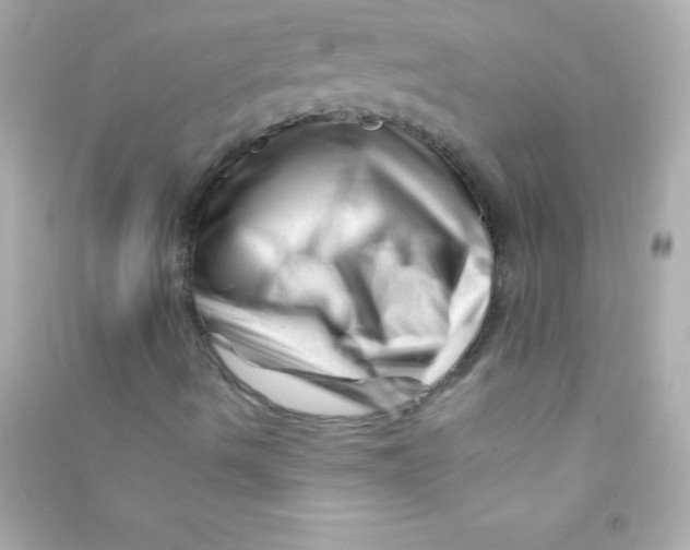 X0000090481490200708102144