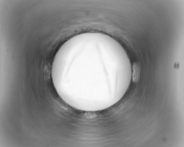 X0000090481491200708102144