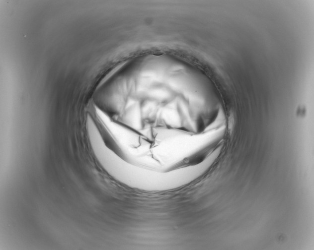 X0000090481492200708102144