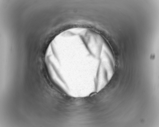 X0000090481493200708102144