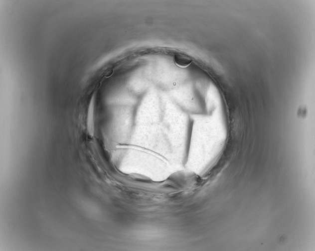 X0000090481494200708102144