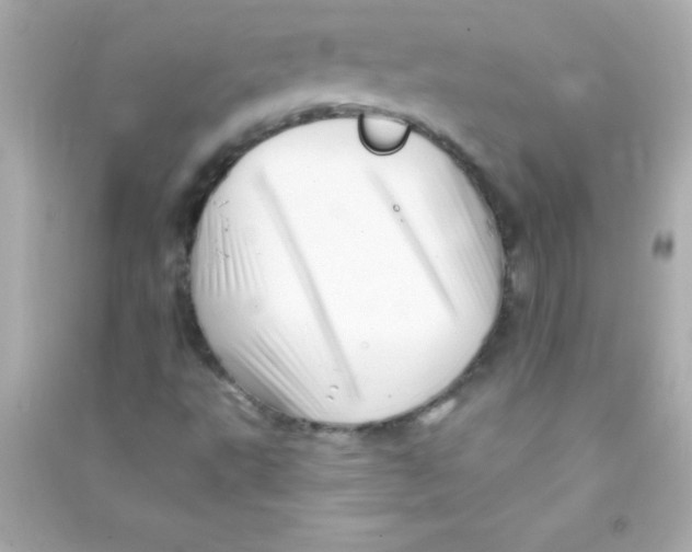 X0000090481495200708102144