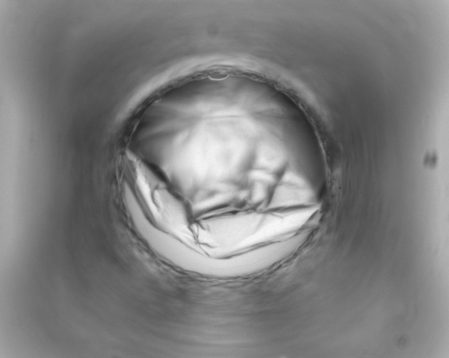 X0000090481496200708102144
