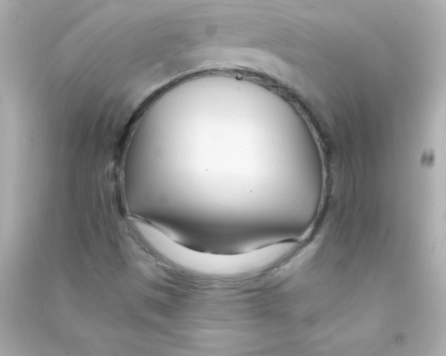 X0000090481497200708102144