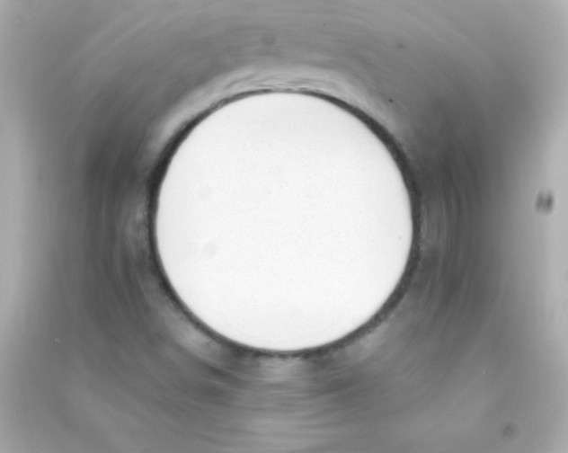 X0000090481498200708102144