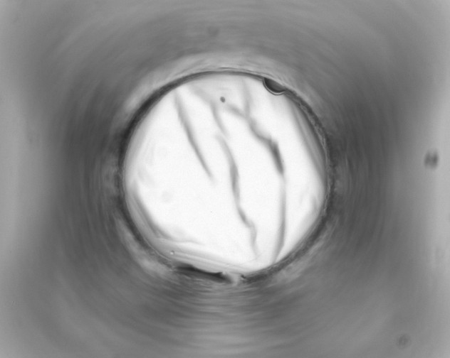 X0000090481499200708102144