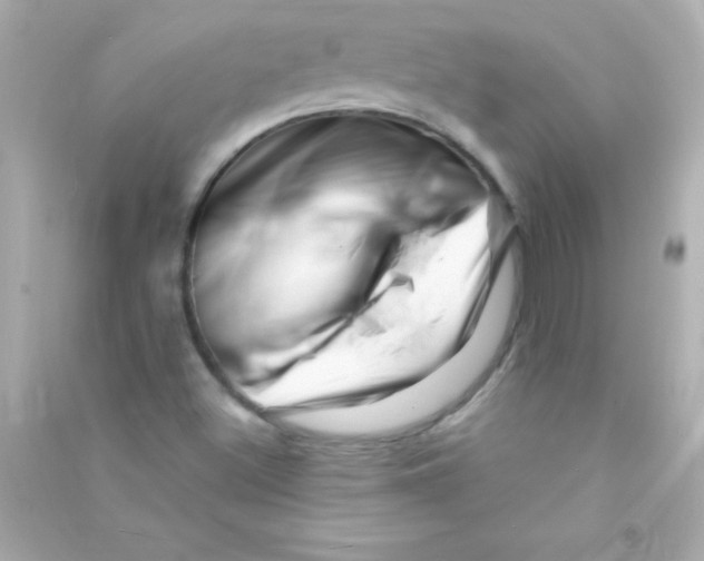 X0000090481500200708102144