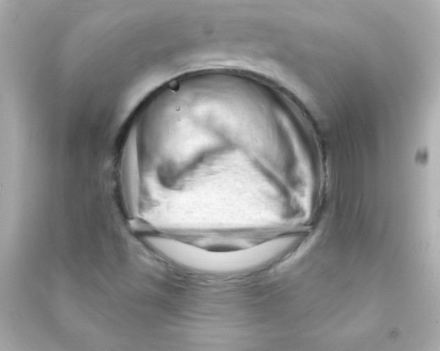 X0000090481501200708102144