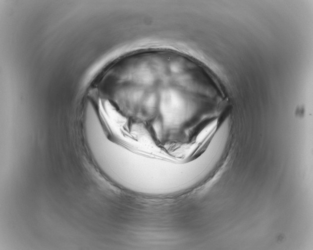 X0000090481502200708102144