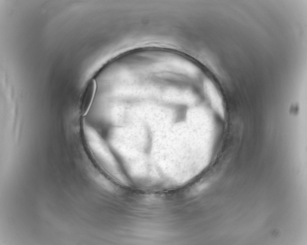 X0000090481504200708102144