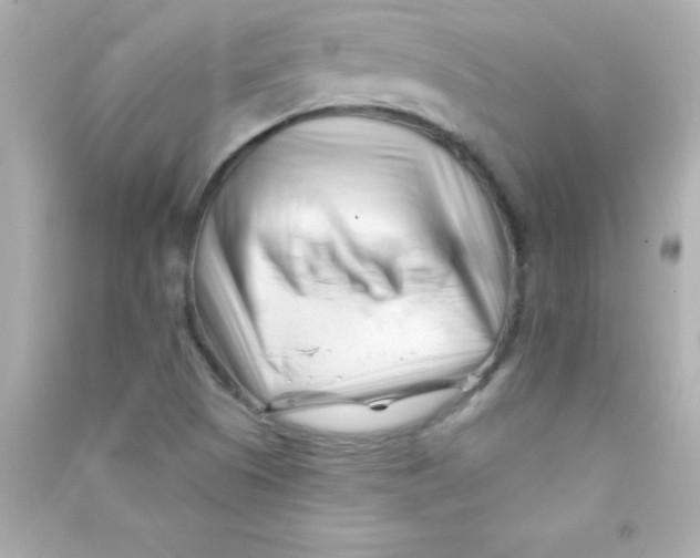 X0000090481505200708102144